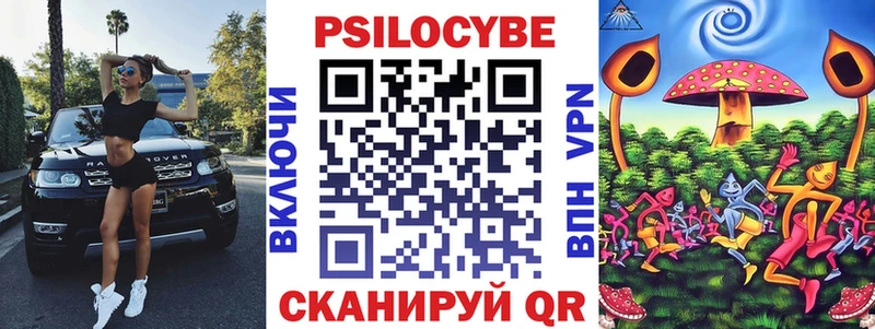 Купить закладки  Новохопёрск  Галлюциногенные грибы Psilocybe 